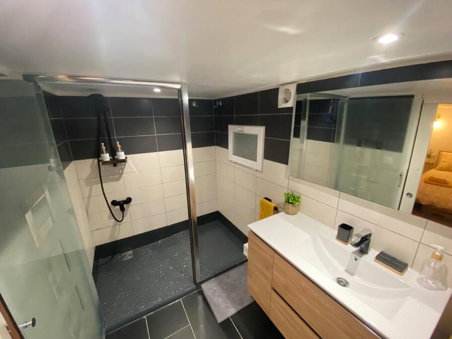 Charmant Appartement - Proche Chateau Cite Carcassonne Ngoại thất bức ảnh