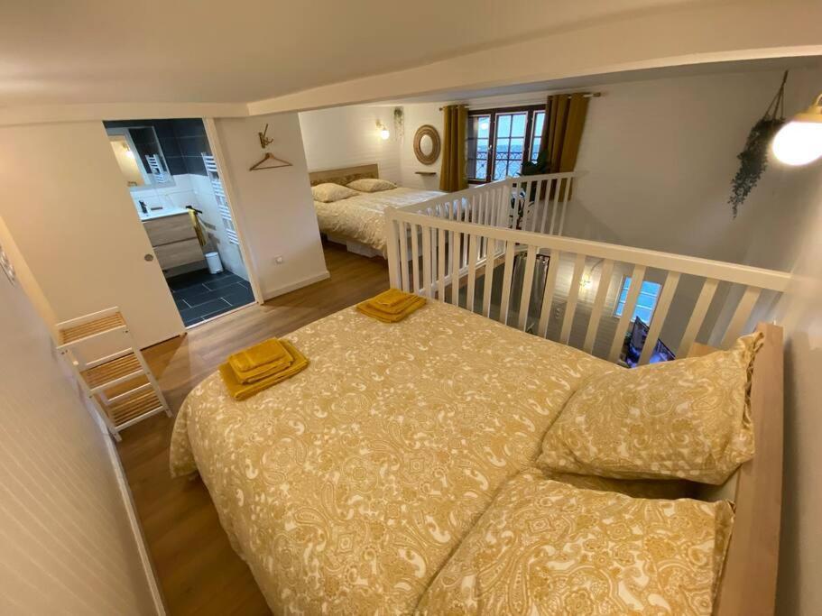 Charmant Appartement - Proche Chateau Cite Carcassonne Ngoại thất bức ảnh
