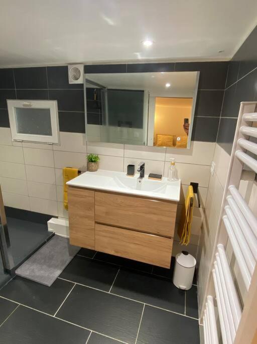 Charmant Appartement - Proche Chateau Cite Carcassonne Ngoại thất bức ảnh