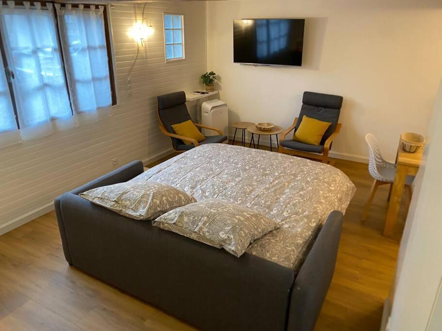 Charmant Appartement - Proche Chateau Cite Carcassonne Ngoại thất bức ảnh