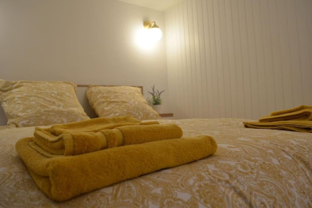 Charmant Appartement - Proche Chateau Cite Carcassonne Ngoại thất bức ảnh